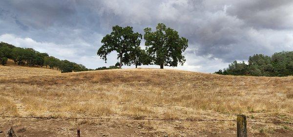 Bare Land in Gold Country