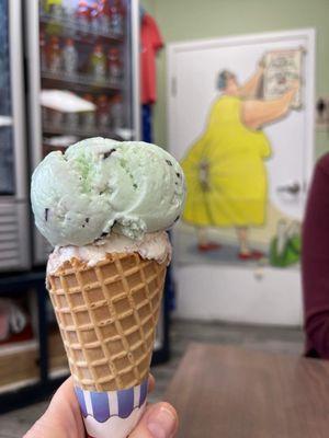 Gator Tracks Ice Cream & Mint Chocolate Chip Ice Cream