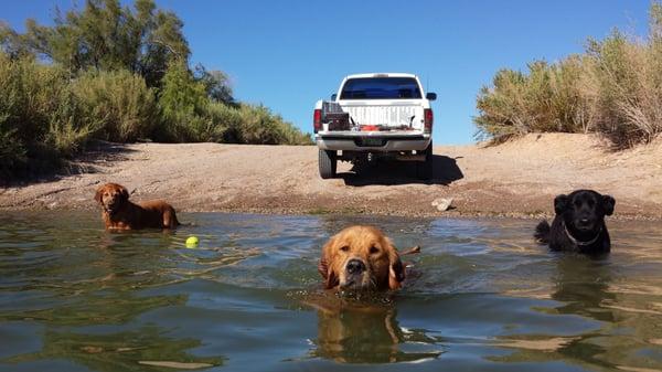 Great drive up beaches