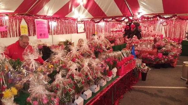 Beautiful Flowers under Greg's Big Tent.