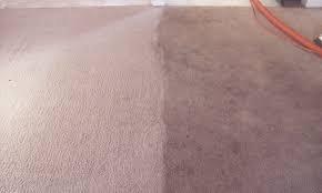 Deep Carpet extraction cleaning