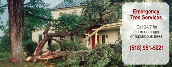 Emergency Tree Removal Albany NY