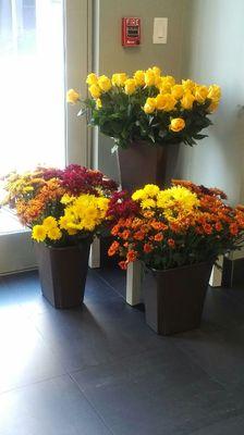 Fall is in the air !!! Beautiful seasonal colors ... Pom Daisies and Roses ... Come in and put together your own bouquet!