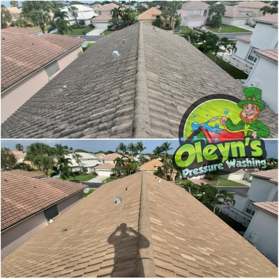 Exterior cleaning , roof cleaning , paver sealing