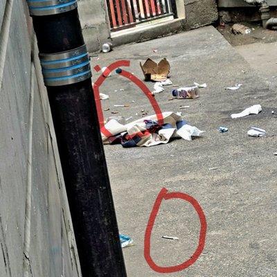 6-13-23 syringe tossed out window by  addicts of the Kailash , shitty dippers condoms,food staff   quit or are fired ever mos. rats show up