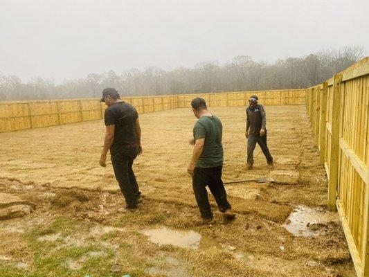 Sod installing