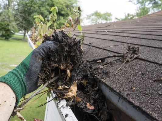 Ask Us about our gutter cleaning service. Base price $200