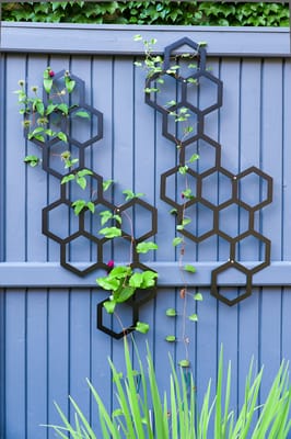 Another interesting trellis adds support for growing vines.