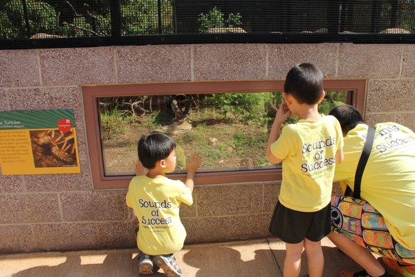 Zoo field trip