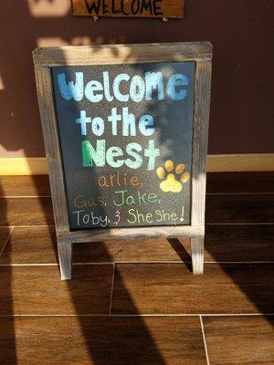 We welcome our doggy friends!