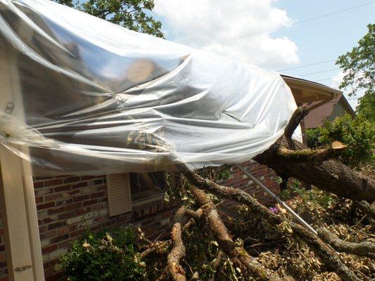 Huge oak tree from Tornado on Cliff drive fallen thru home.We were there.05-27-19