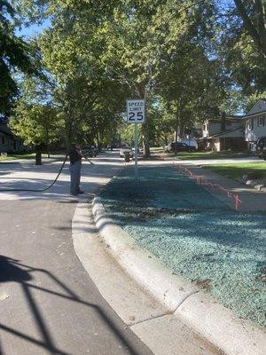 Hydroseeding