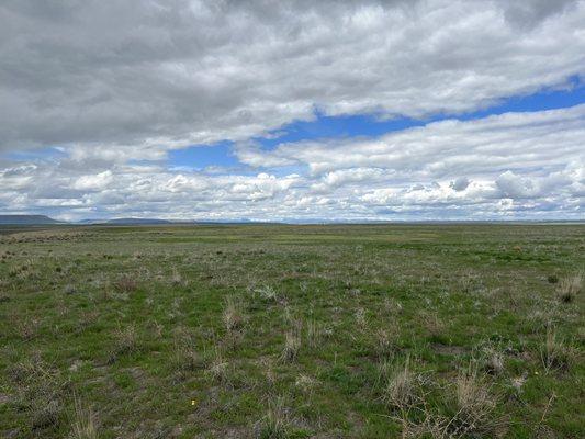 View of the prairie dog town on top of the jump looking West.