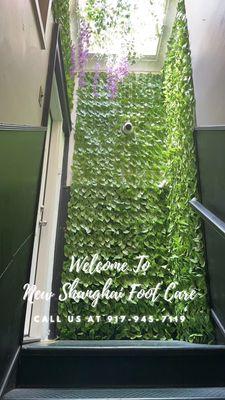 Welcome To New Shanghai Foot Care