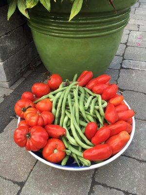 These plants yield tons of tomatoes!