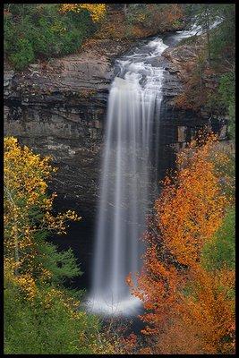 Enjoy from the top or hike to the base of Fall creek falls. Simply beautiful!