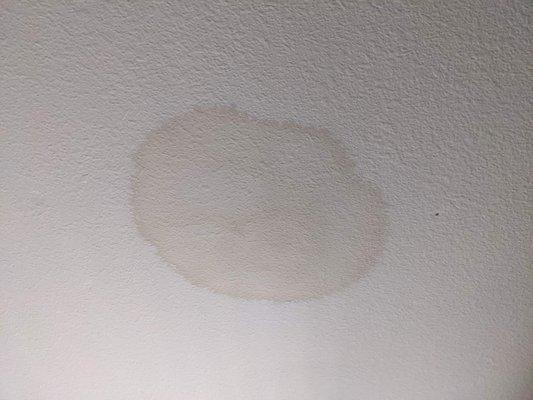 Water damage on ceiling below from not water proofing the shower.