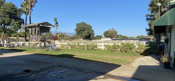 Dressage Training Arena