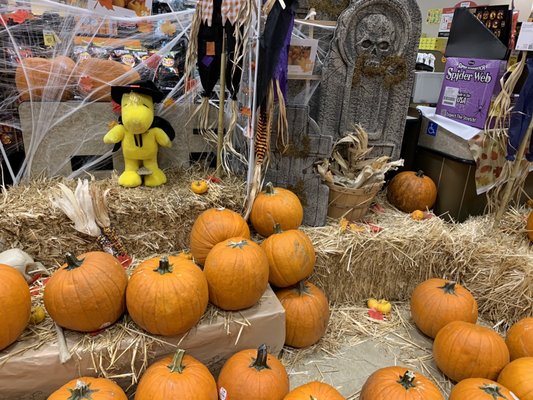 Pumpkins & Halloween decorations