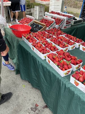 Outer Sunset Farmers Market San Francisco - Berries