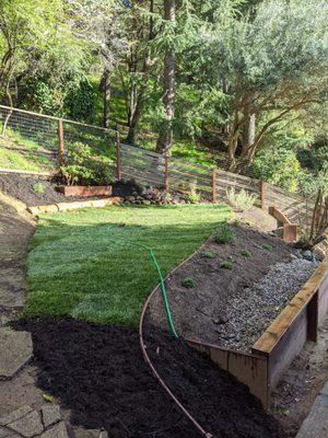 This project started with creating two low retaining fences and ended with a sod lawn surrounded by rocks, pine rounds, and native plants.