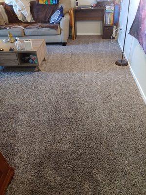 Aaall Included Carpet Cleaning