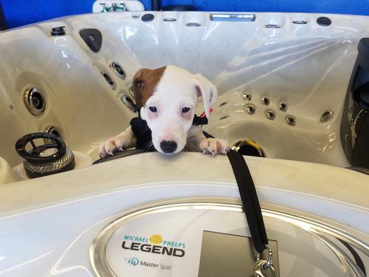 Oliver want you to have a new Hot Tub by Master Spas