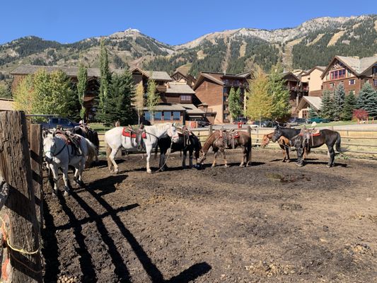 Teton Village Trail Rides