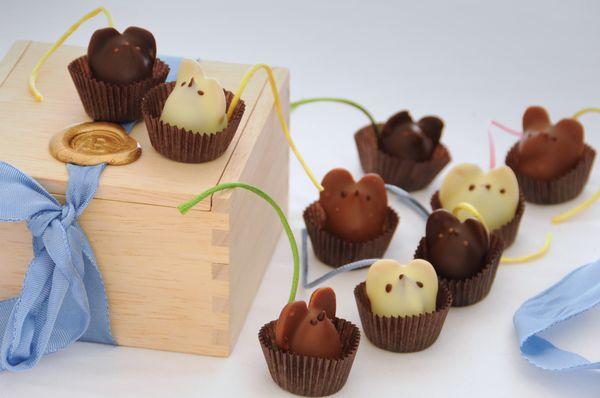 Cute little chocolate mice