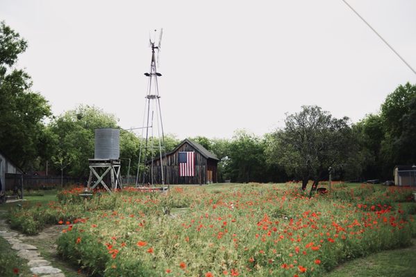 #castrovillepoppyhouse So many backdrop options- get creative!