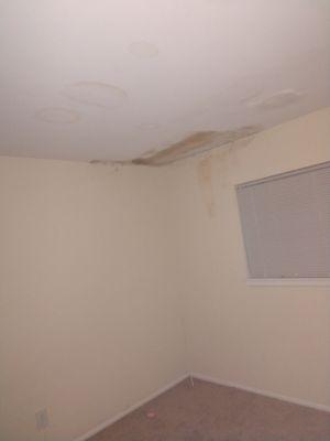 Black mold that has been in this apartment since August