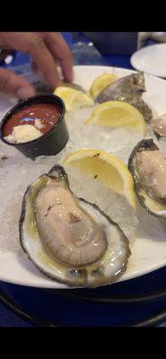 Raw oysters