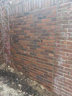 Reclaimed brick filled in this old carriage house hole