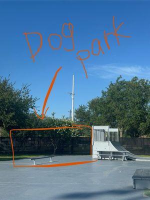 The skate park is right next to the dog park, great to help dogs with sensory overloading so they don't react to skaters