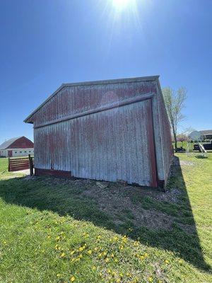 Surface preparation of old metal hog barn with peeling paint. Washed, sanded, scraped and rusted areas prepped for restoration.