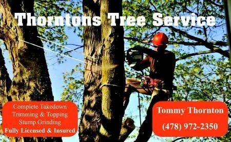 Thornton's Tree Service