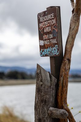 Albany Bulb