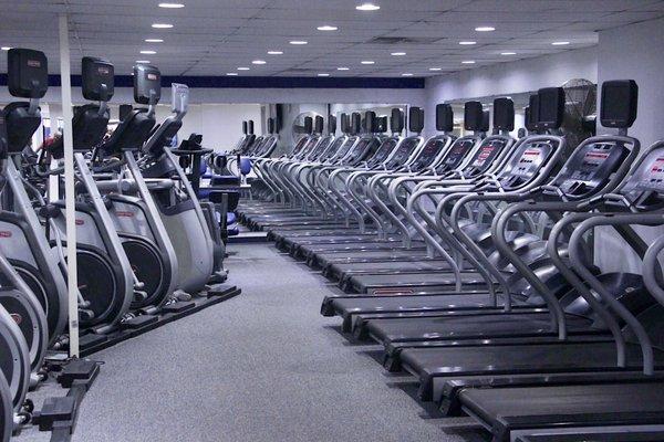 Top of the line Star Trac cardio equipment: treadmills, ellipticals, upright bikes, and recumbent bikes. Never wait to use a piece of cardio