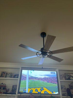 Ceiling fan