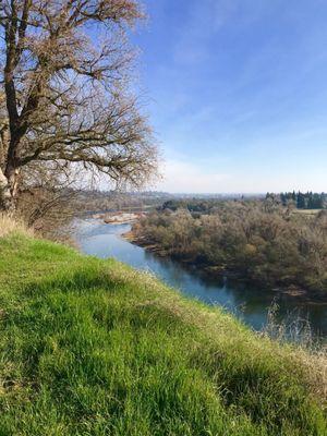 On the bluff