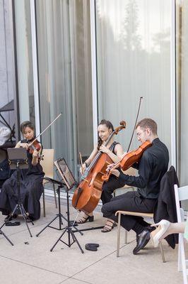 Highline String Quartet on the Atrium patio at the Brooklyn Botanic Garden