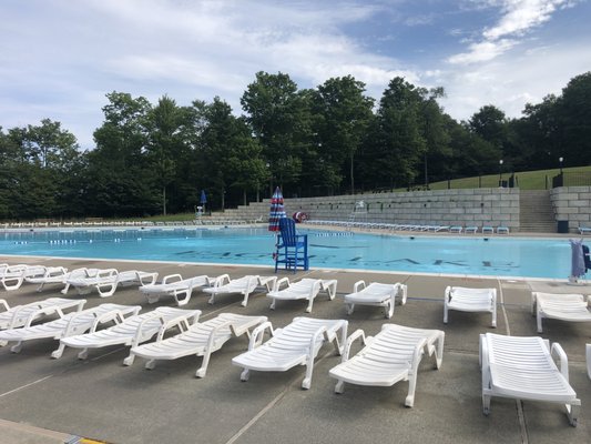 Pool and loungers