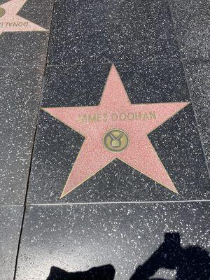 Star on walk of fame