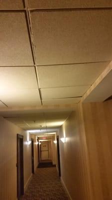 5th floor halfway. .. quality ceiling falling apart!