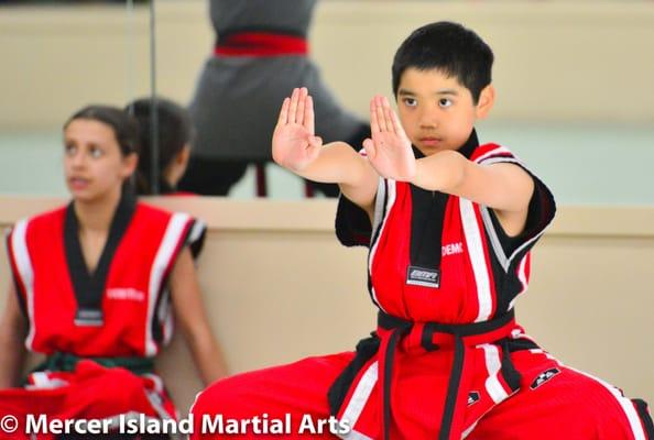 Mercer Island Martial Arts