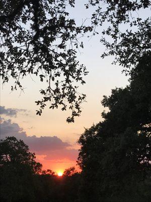 Sunrise with coffee on the veranda