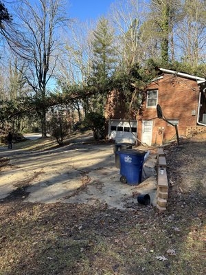 Tree blown over on to house