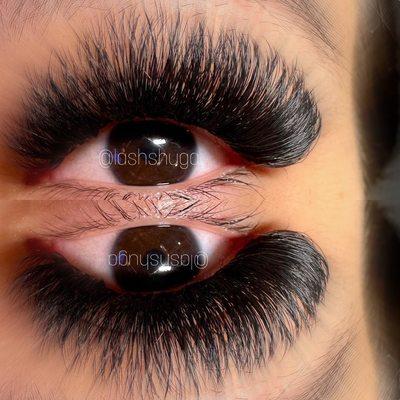 Mega Volume lash extensions