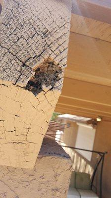 Termite damage observed in header of porch.