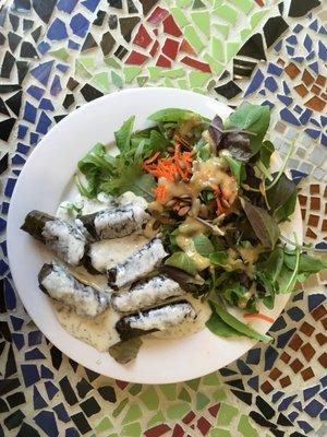 Stuffed Grape Leaves with Yogurt Dill Sauce and a salad